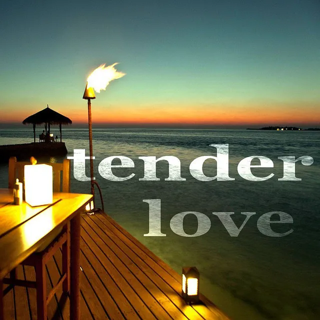 Tender Love - Vocal House Mix