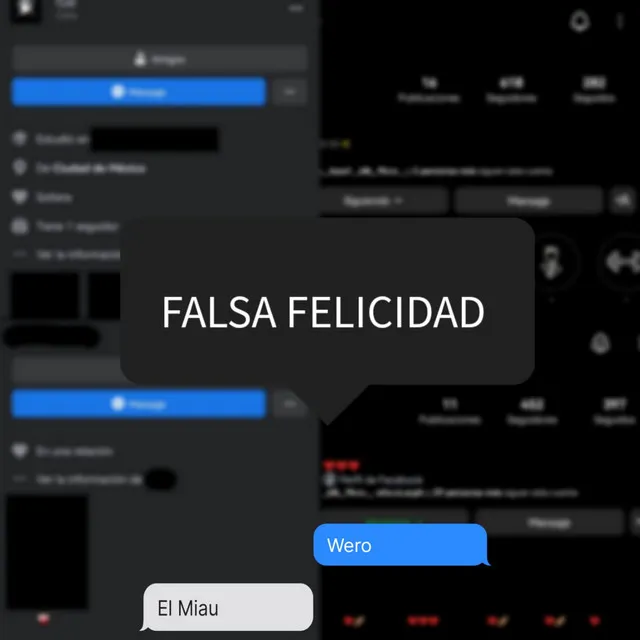 Falsa Felicidad