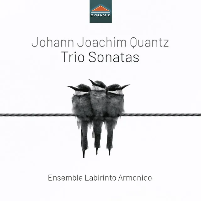 Trio Sonata in G Minor, QV 2:34: III. Siciliana