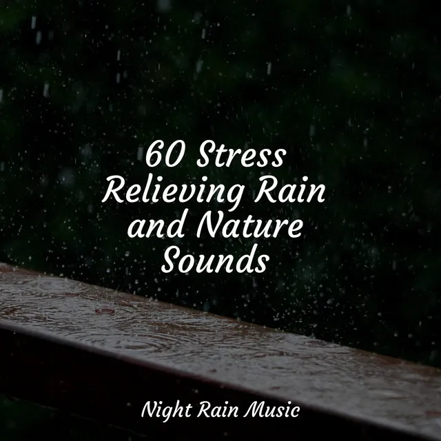 60 Stress Relieving Rain and Nature Sounds