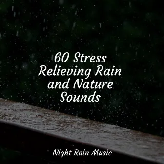 60 Stress Relieving Rain and Nature Sounds by Amazing Spa Music