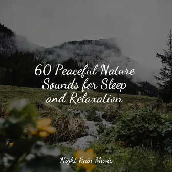 60 Peaceful Nature Sounds for Sleep and Relaxation by Guided Meditation