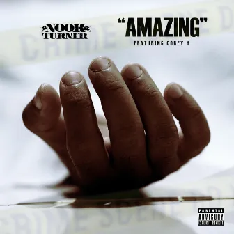 Amazing by NOOK Turner