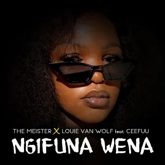 Ngifuna Wena by The Meister