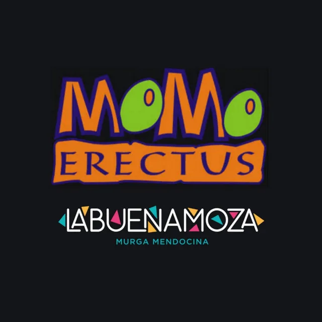 Momo Erectus