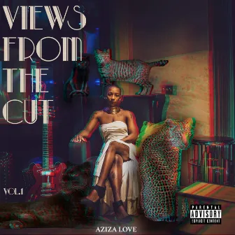 Views from the Cut, Vol. 1 by Aziza Love