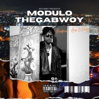 Pimpin' Ain't Easy by Modulo Thegabwoy