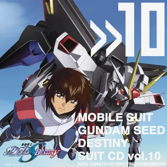 Mobile Suit Gundam Seed Destiny Suit Vol.10 Kira Yamato × Strike Freedomgundom by Shinji Kakishima