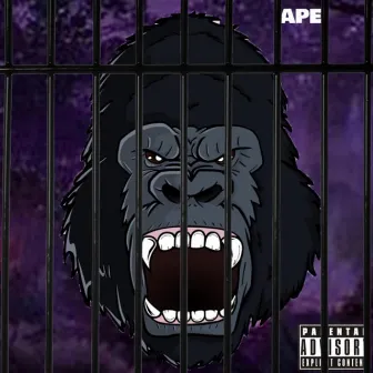 APE by Reaper