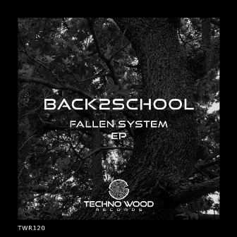 Fallen System EP by Back2school