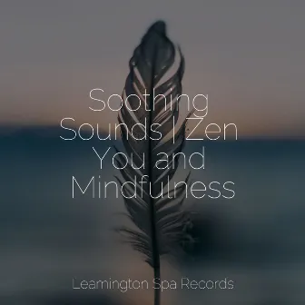 Soothing Sounds | Zen You and Mindfulness by Sonidos de lluvia para dormir