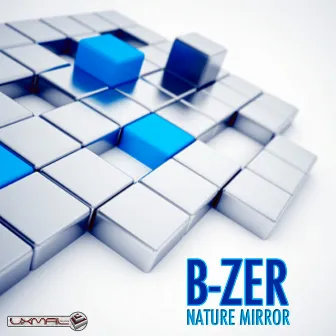 Nature Mirror by B-Zer