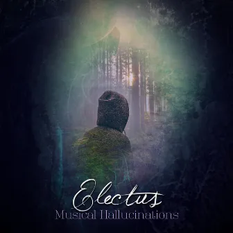 Musical Hallucinations by Electus