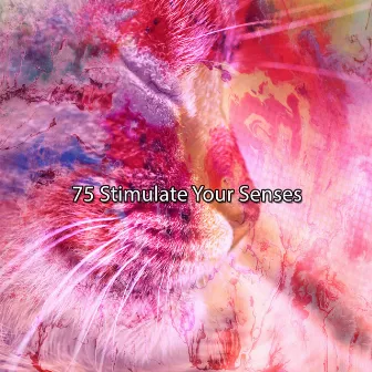 75 Stimulate Your Senses by Lullaby Tribe