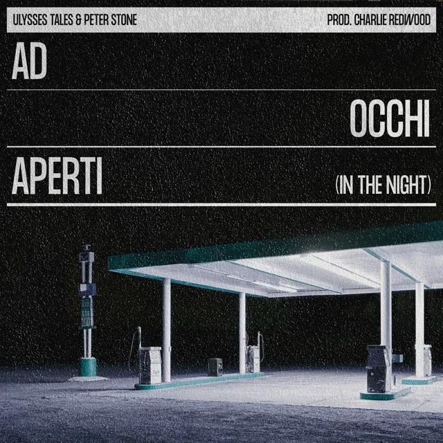 Ad occhi aperti - In the Night