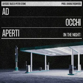 Ad occhi aperti (In the Night) by Charlie Redwood