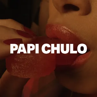 Papi Chulo by Skepta