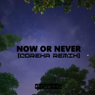 Now Or Never (Corexa Remix) by Corexa