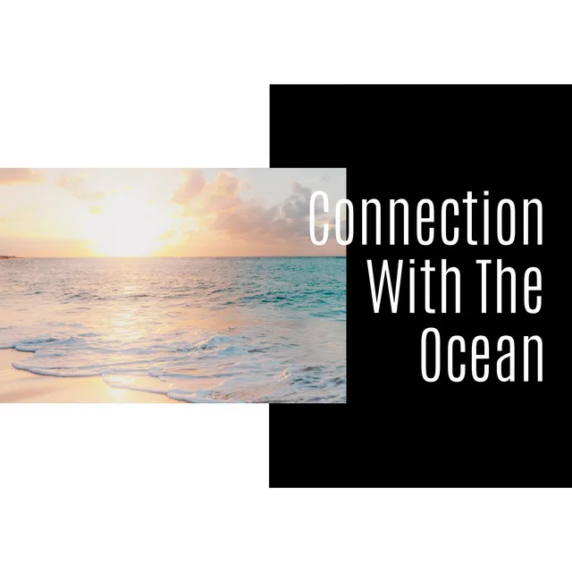 Connection With The Ocean