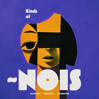 Kinds of ~Nois by ~Nois