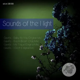 Sounds of the Night by Gavril's