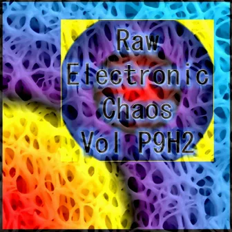 Raw Experimental Chaos Vol P9H2 (Extraños Experimentos Electrónicos Crudos Combinando las Influencias Darkwave, Industrial, Caos, Ambiental, Clásica y Celta) by Dark Side Of The Moon