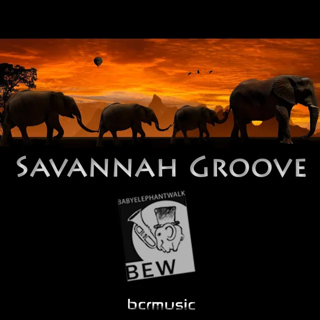 Savannah Groove - B.E.W. Project 10th years anniversary Mix