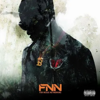 FNN For Negus Networking by FNN BWill