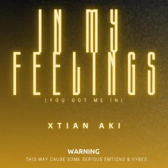 In My Feelings by Xtian Aki