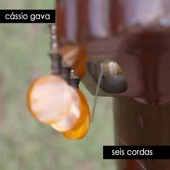 Seis Cordas by Cássio Gava