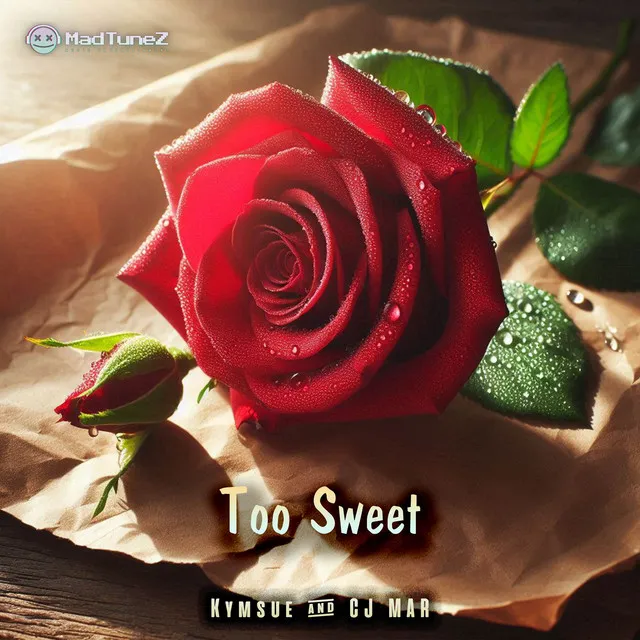 Too Sweet - Slowed