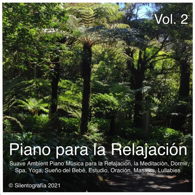 Piano Para La Relajación, Vol. 2, Pt. 19