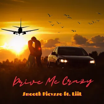 Drive Me Crazy by Smooth Picvsso