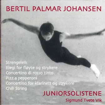 Bertil Palmar Johansen (1954) by Bertil Palmar Johansen