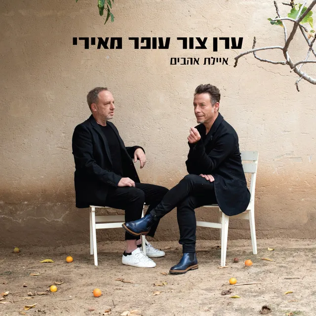 איילת אהבים