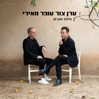 איילת אהבים by Ofer Meiri