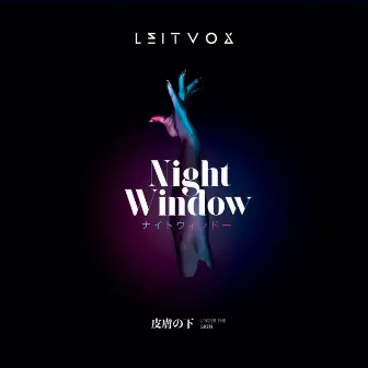 Night Window by Leitvox