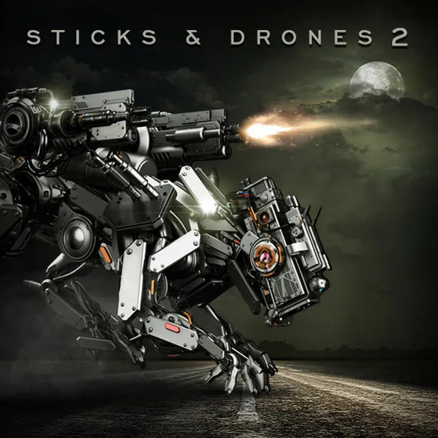 Sticks and Drones 2