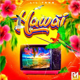 Hawai by La 24seven