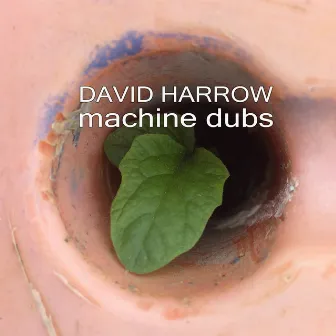 Machine Dubs by David Harrow