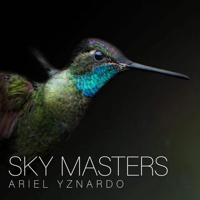 Sky Masters