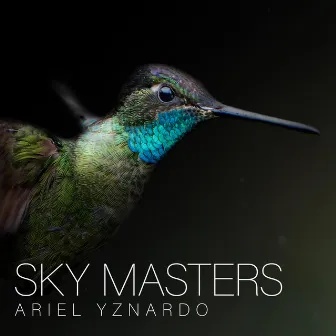 Sky Masters by Ariel Yznardo