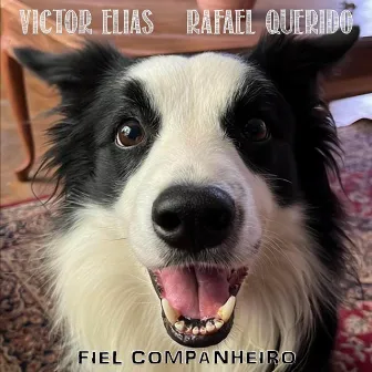 Fiel Companheiro by Victor Elias