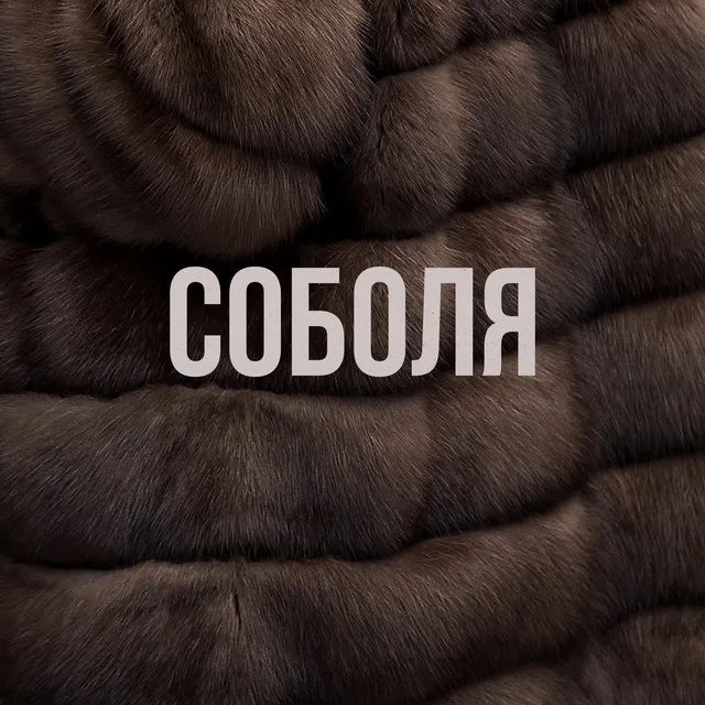 Соболя