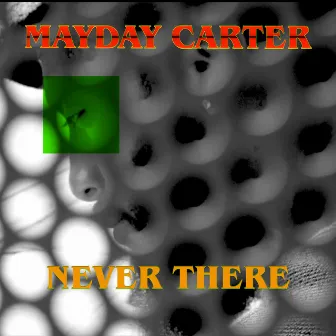 Never There by Mayday Carter