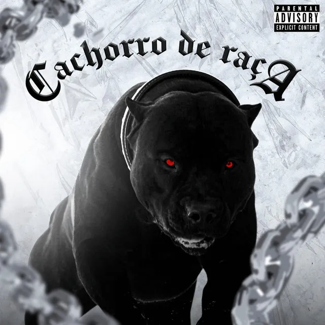 Cachorro de Raça