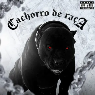 Cachorro de Raça by Dan Vigo