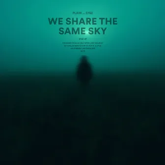 we share the same sky (sped up) by plain.