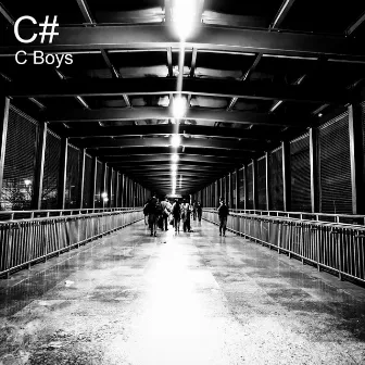 C# by C Boys