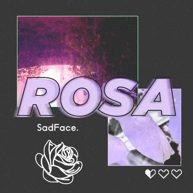 Rosa